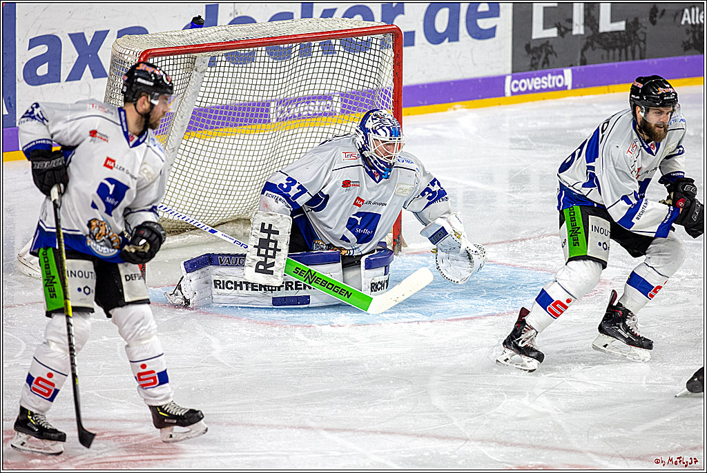 DEL; Koelner Haie - Straubing Tigers, 02.12.2018